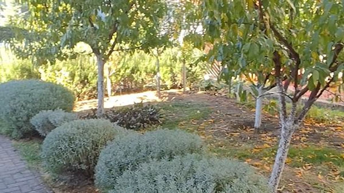 Ősszel sem pihen a kert: ezeket a munkákat érdemes elvégezni októberben (videó)