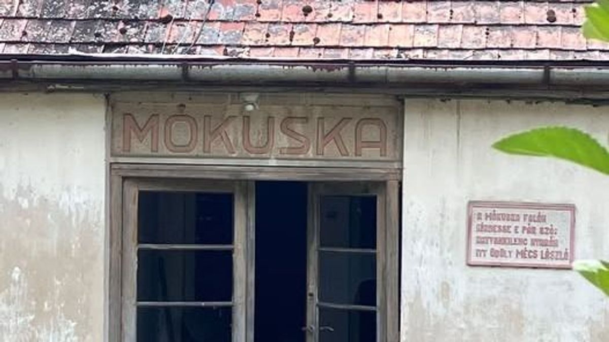 Rejtélyes ház bújik meg Tihanyban – híres költő emlékét őrzi a pusztuló Mókuska (fotók)