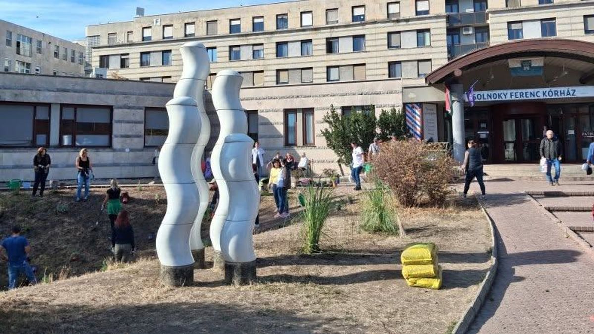 Önkéntes munkával szépült meg a veszprémi kórház környezete