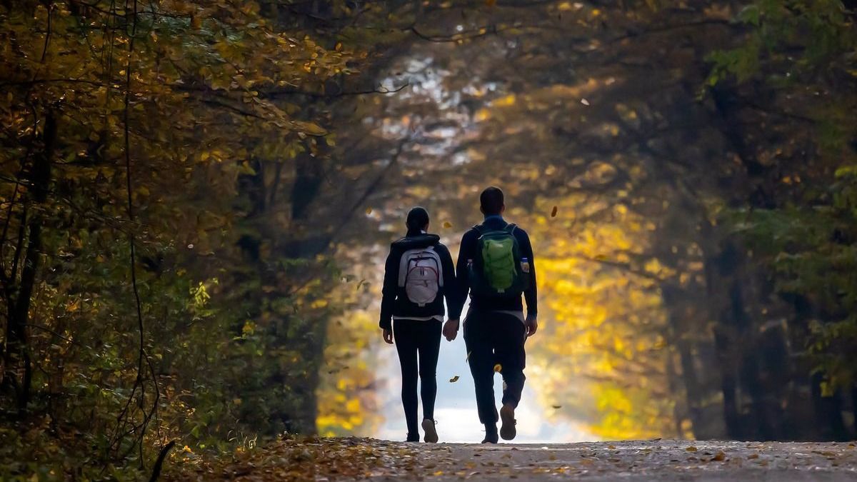 Az ősszel legszínesebb bakonyi kirándulóhelyek: 4 arborétum, 4 szurdok, 4 vizes hely (+ képek)