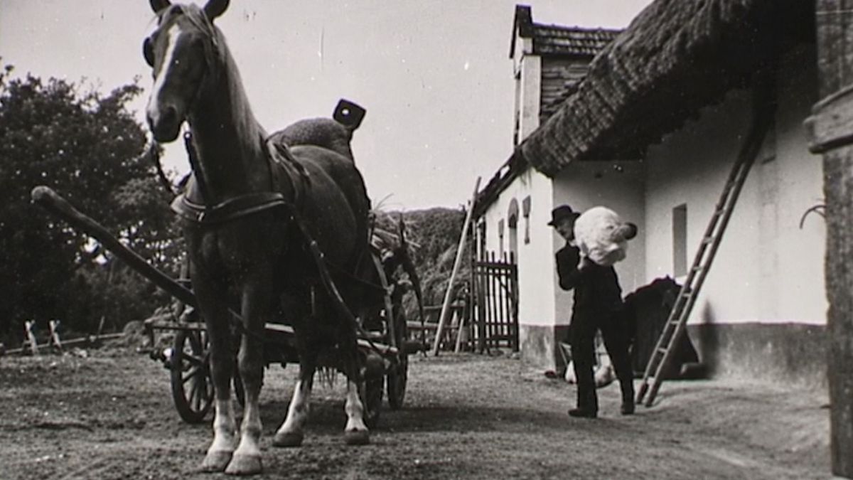 74 éves filmhíradó őrzi a régi Pápa emlékét (+ videó)