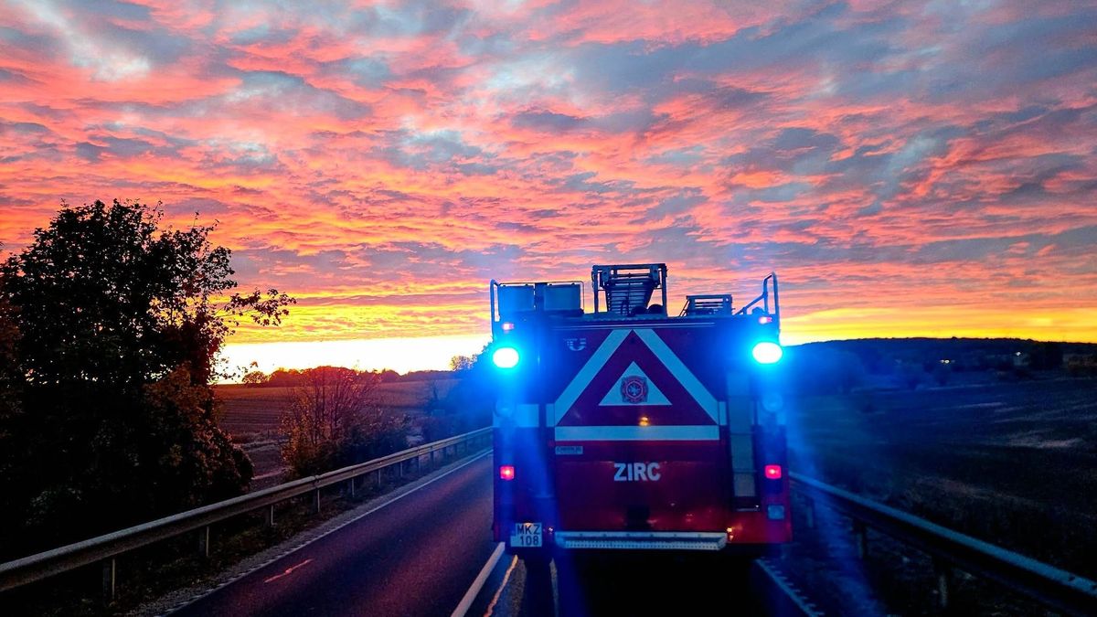 Kiderült, hogyan történhetett a hajnali vadgázolás a 82-esen