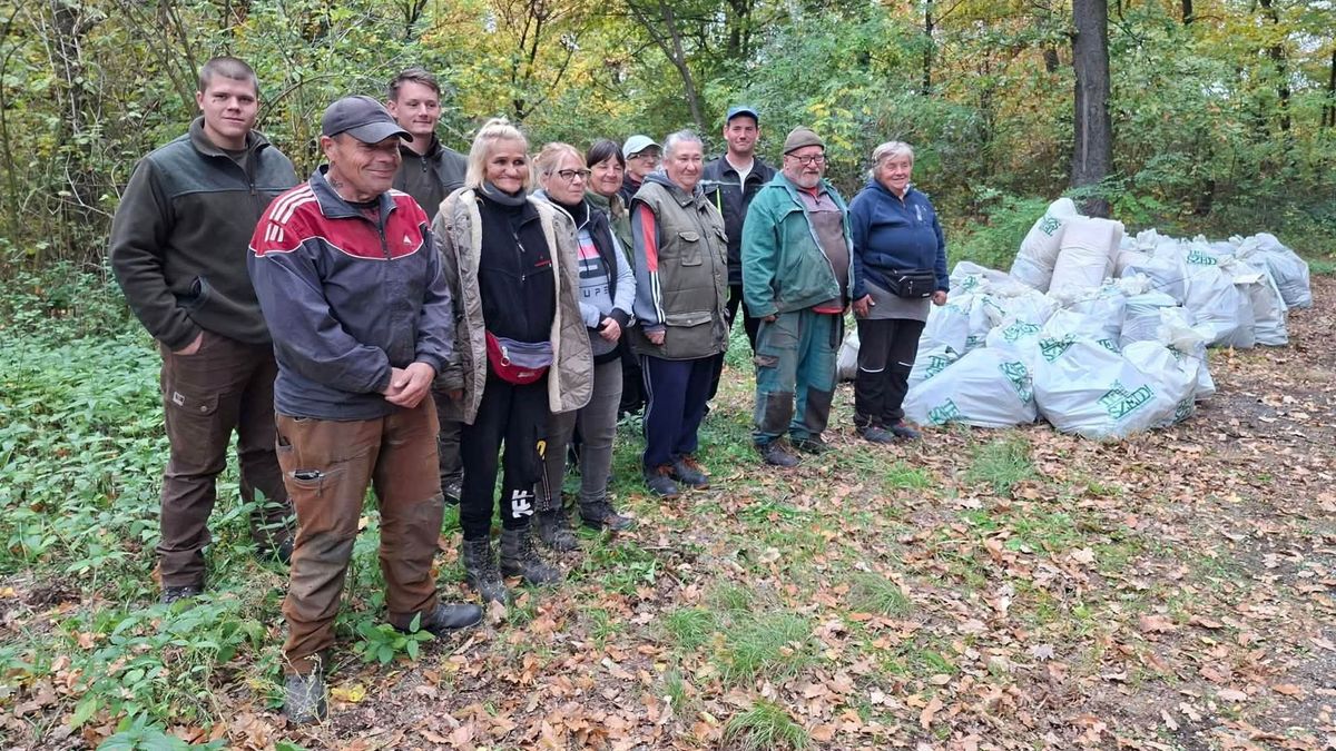 106 zsák szemetet gyűjtöttek össze a Bakonyerdő munkatársai (+ galéria)