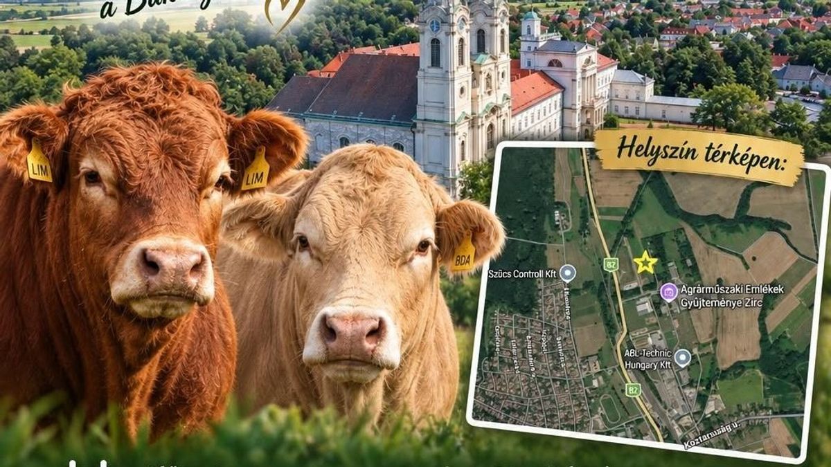 Ilyen még nem volt a Bakonyban! Rangos vendégeket kap a híres aranygulya, ingyenes programok várnak (képek)